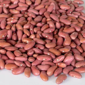 White, Black, Red, Light Speckled Kidney Beans for sale