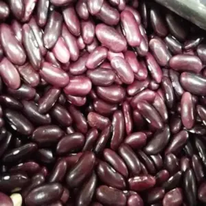 Kidney Beans