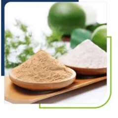 Monk Nectar® Monkfruit Extract – Natural Sweetener for Food & Beverages in Australia