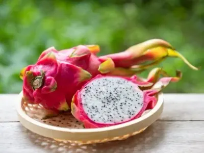 Fun stick fruit pudding jelly by CHC Gourmet Sdn Bhd