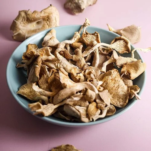 Mushroom Extract Biostimulant