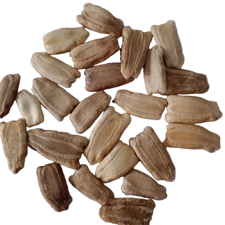 Vegetable Oils by GE Business Link GmbH