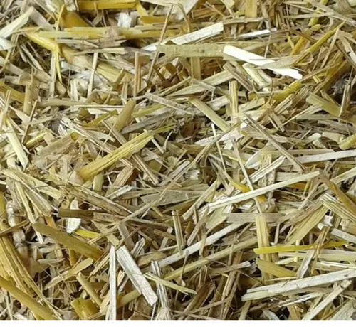 WHEAT AND DERIVATES