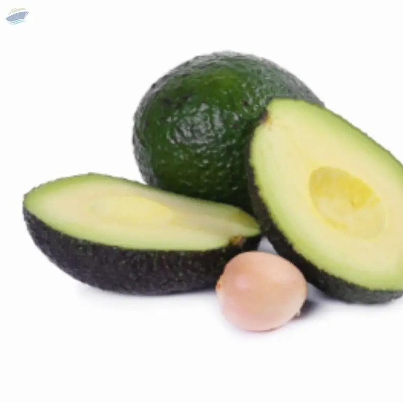 Avocado Imported